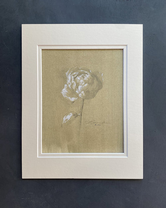 Impression giclée de pivoine II