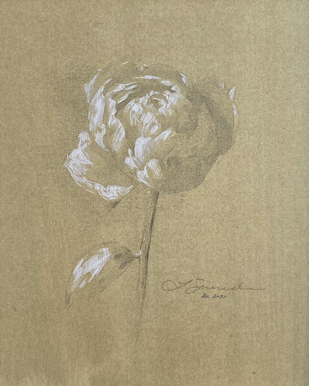 Stampa Giclée Peonia II