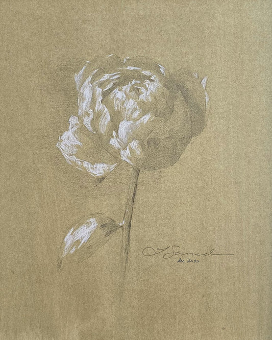 Impression giclée de pivoine II