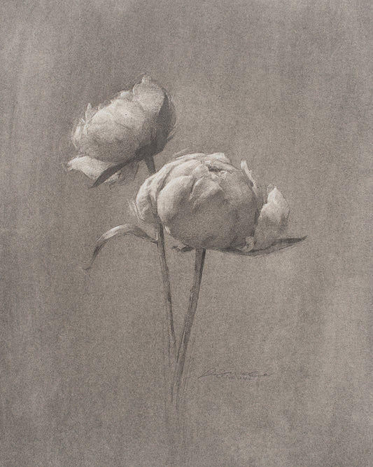 Tirage d'art Pivoines III Édition limitée