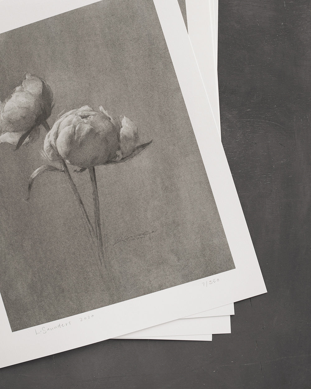 Stampa artistica Peonie III Edizione limitata