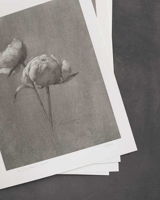 Tirage d'art Pivoines III Édition limitée