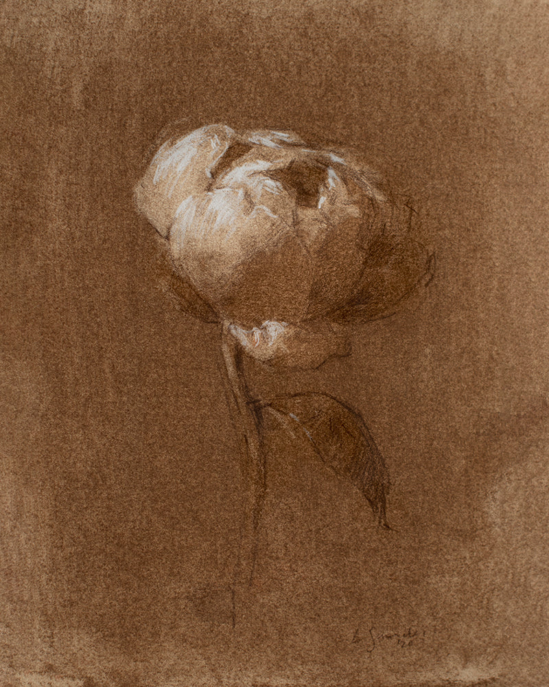 Stampa artistica di peonia seppia I