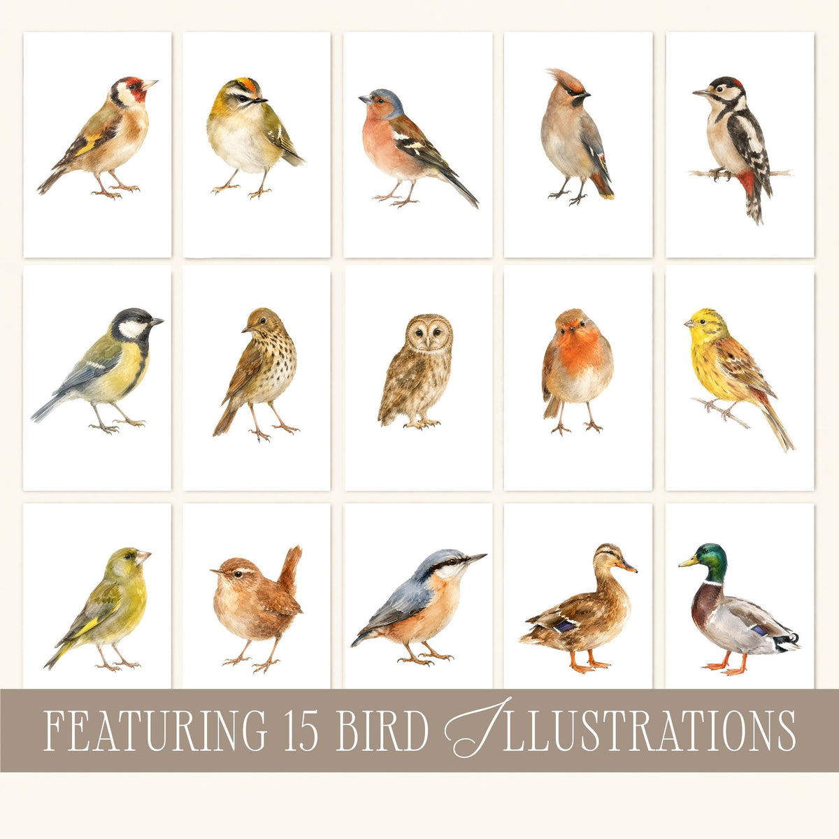 Vintage Fall Bird Wall Art Set of 15, Cottagecore Plaid Prints, Woodland Bird Illustrations Collection, French Country Decor Bundle B3
