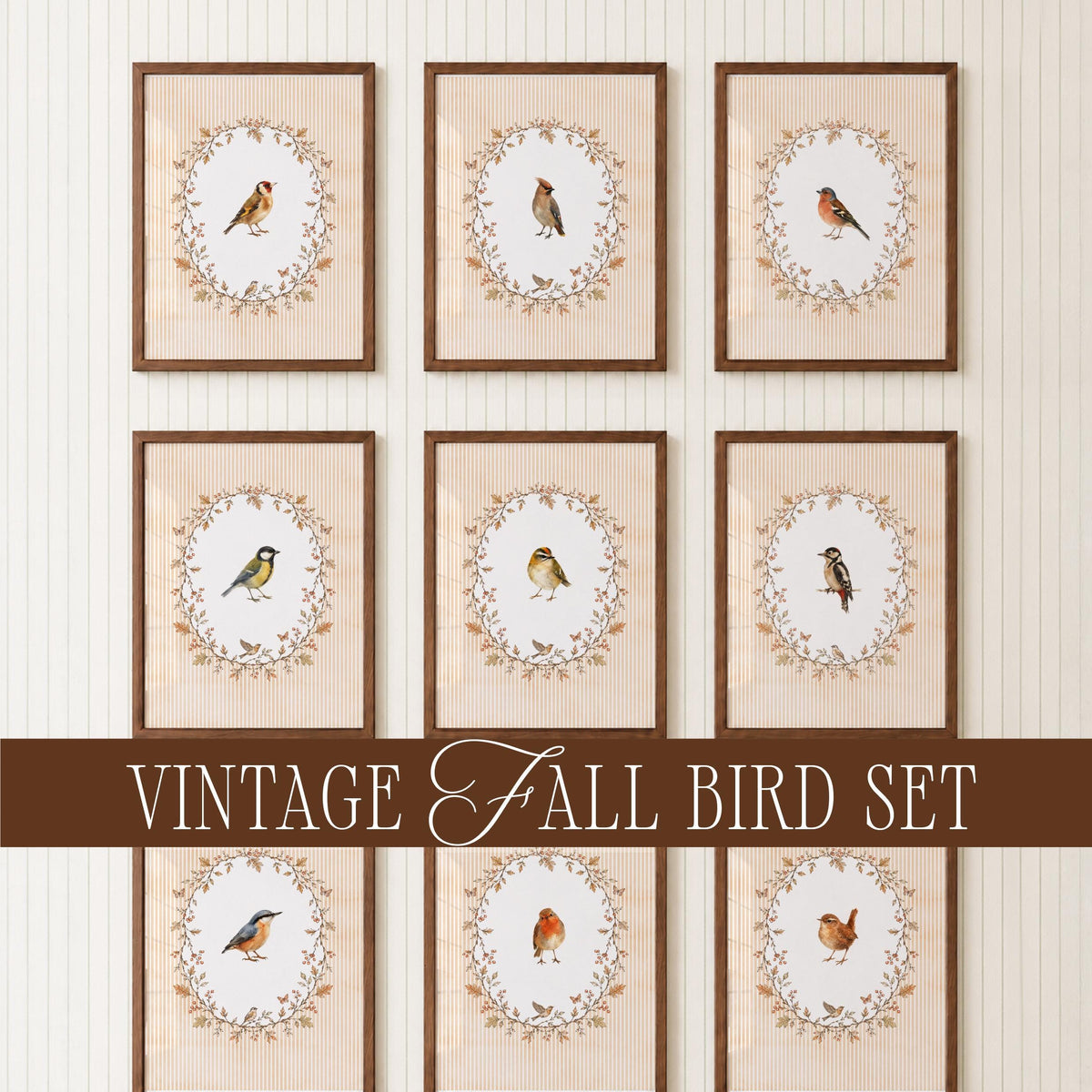 Vintage Fall Bird Wall Art Set of 15, Cottagecore Gallery Wall Illustrations, Antique Bird Prints Bundle, French Country Decor Collection B2