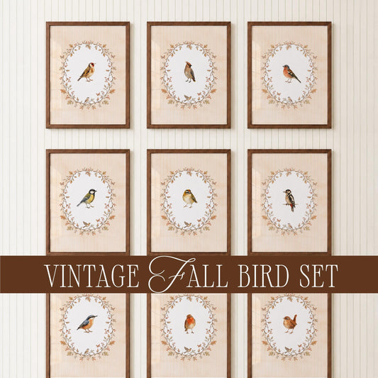 Vintage Fall Bird Wall Art Set of 15, Cottagecore Gallery Wall Illustrations, Antique Bird Prints Bundle, French Country Decor Collection B2