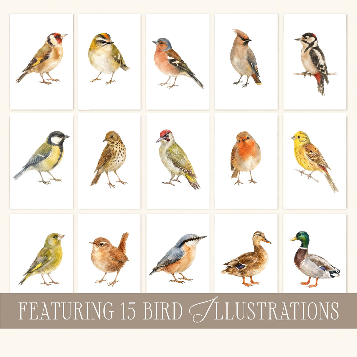 Vintage Fall Bird Wall Art Set of 15, Cottagecore Gallery Wall Illustrations, Antique Bird Prints Bundle, French Country Decor Collection B2