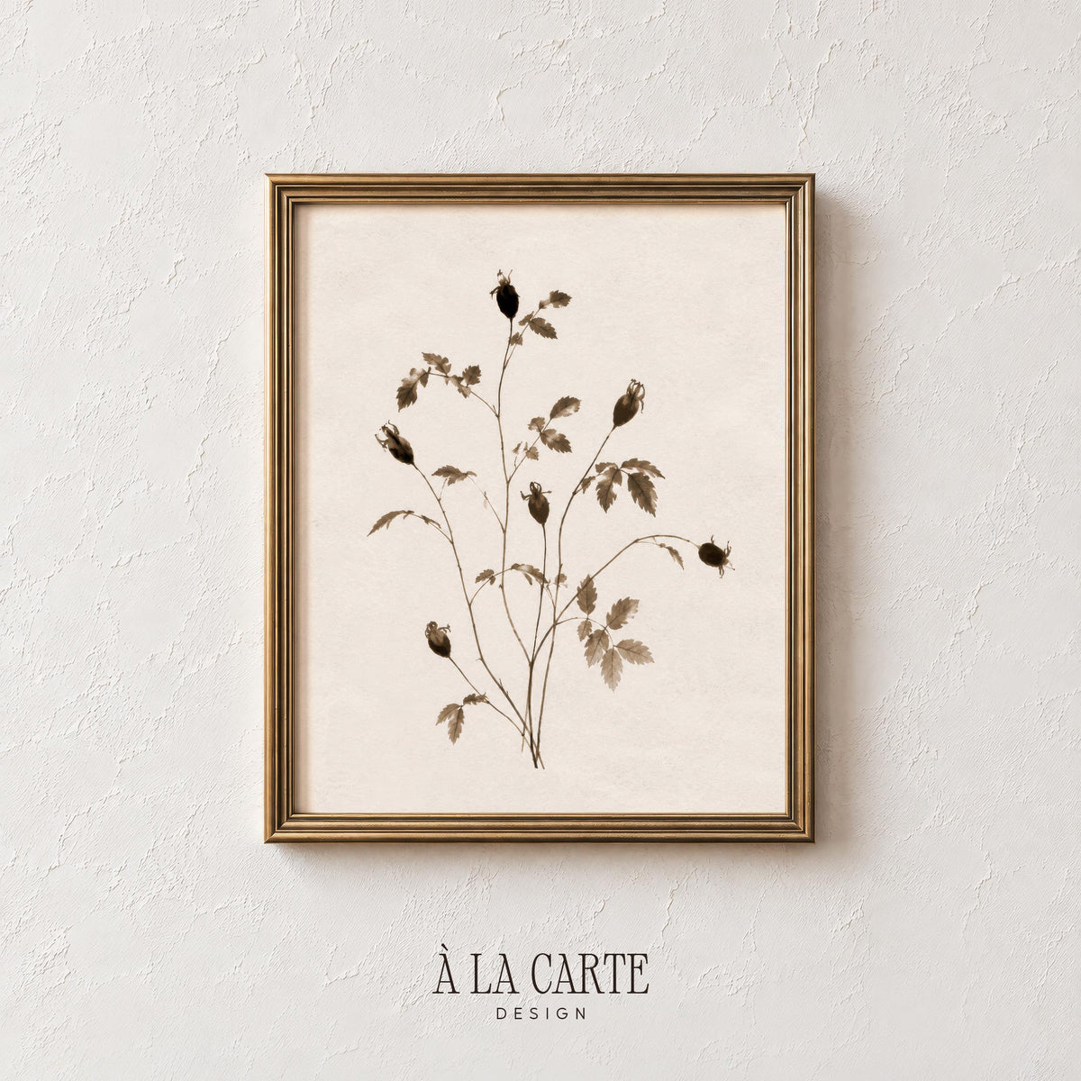 Vintage herbarium poster wall art for gallery display — subtle botanical with aged cream background