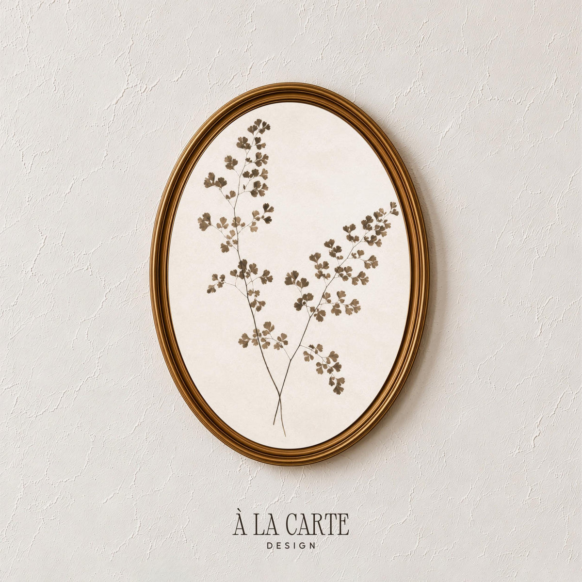 Antique plant pressing digital art for kitchen — delicate branch illustration in vintage herbarium style