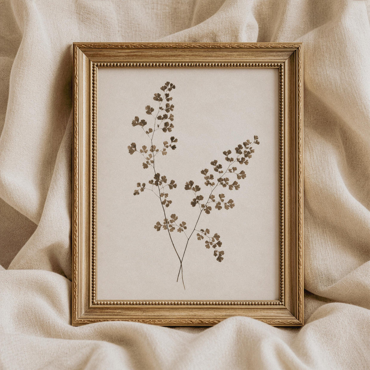 Minimalist botanical picture — hand-gathered specimen aesthetic on cream-toned background