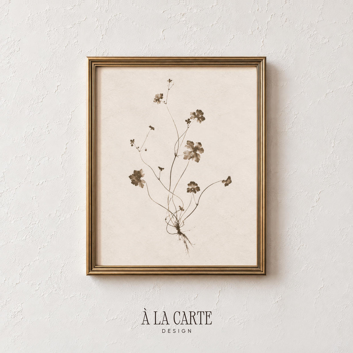 Pressed botanical specimen poster for office — cottagecore wildflower illustration featuring thin roots and small buds in neutral palette