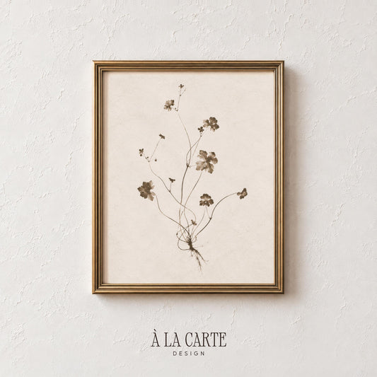 Pressed botanical specimen poster for office — cottagecore wildflower illustration featuring thin roots and small buds in neutral palette