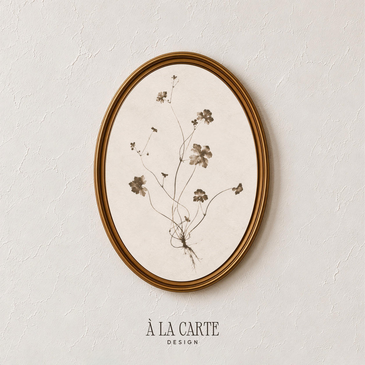 Botanical specimen picture for kitchen — cottagecore-style pressed plant illustration with thin curving stems and antique finish