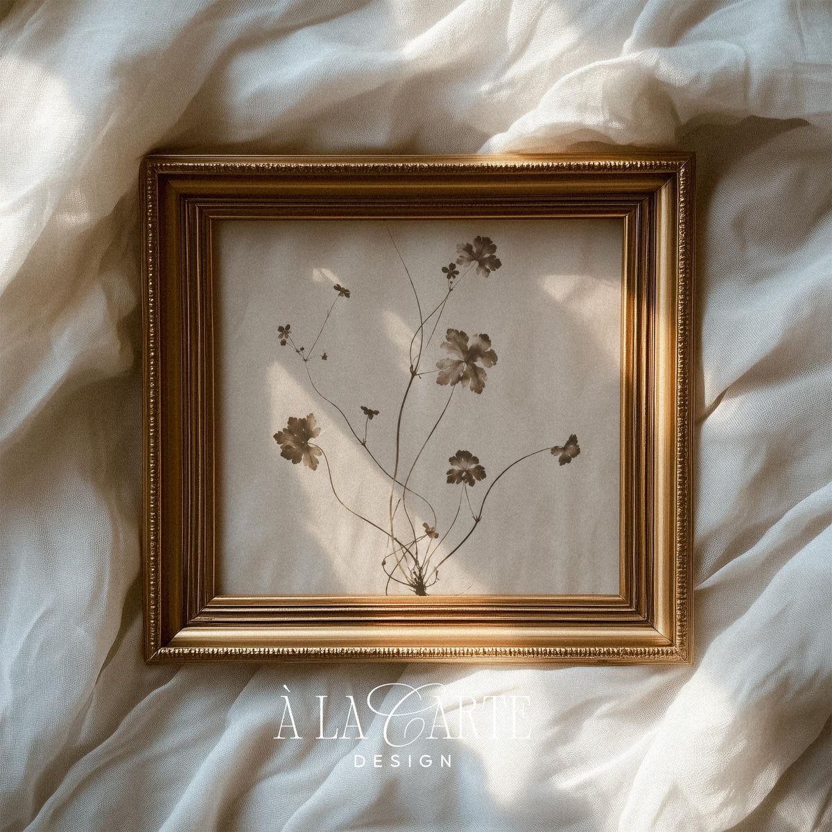 Wildflower botanical picture wall art for living room — rustic dried plant specimen with antique cottage-core styling and cream background