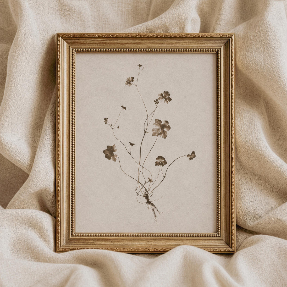 Herbarium botanical poster printable for living room — quiet vintage aesthetic featuring slender stems and seed pods in sepia