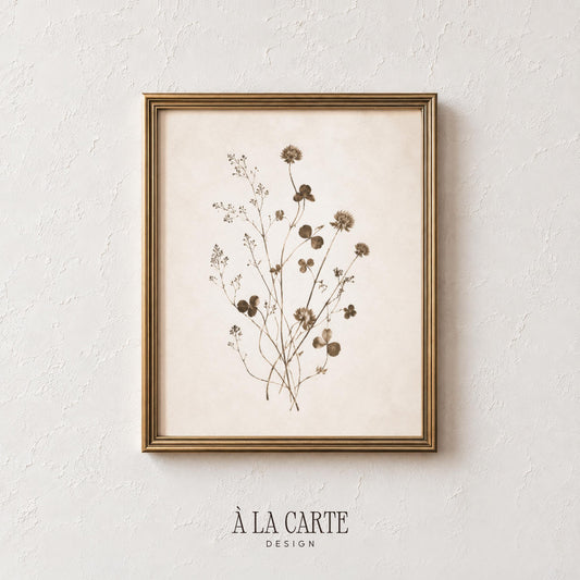 Minimal Botanical Wall Art, Sepia Plant Print, Antique Herbarium, Neutral Botanical Printable, Vintage Floral Art, Abstract Botanical V130