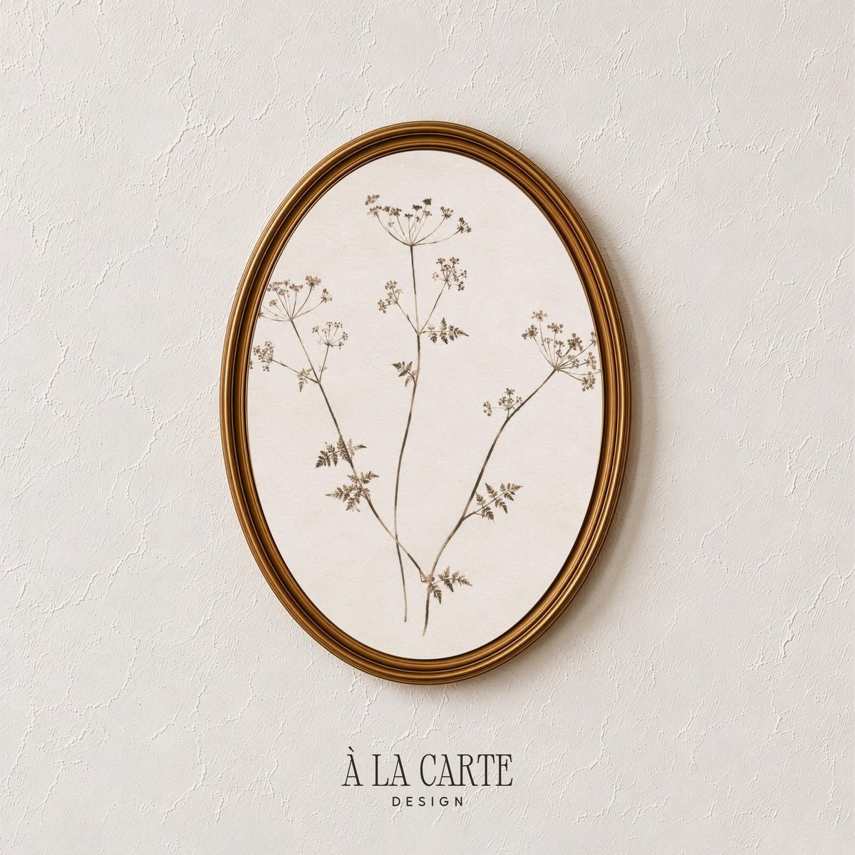 Minimal Botanical Wall Art, Sepia Plant Print, Antique Herbarium, Neutral Wildflower Printable, Vintage Floral Art, Abstract Botanical V131