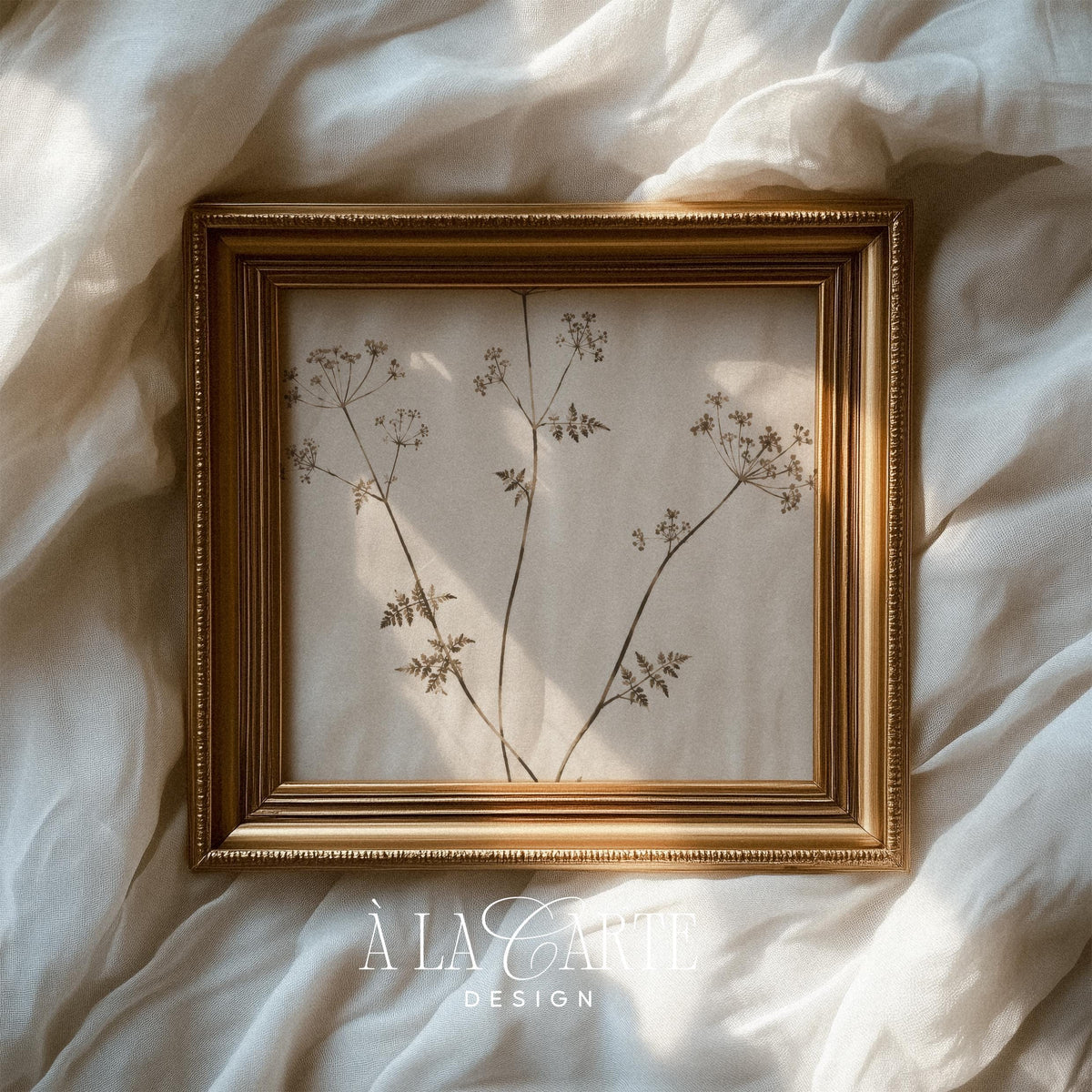 Minimal Botanical Wall Art, Sepia Plant Print, Antique Herbarium, Neutral Wildflower Printable, Vintage Floral Art, Abstract Botanical V131
