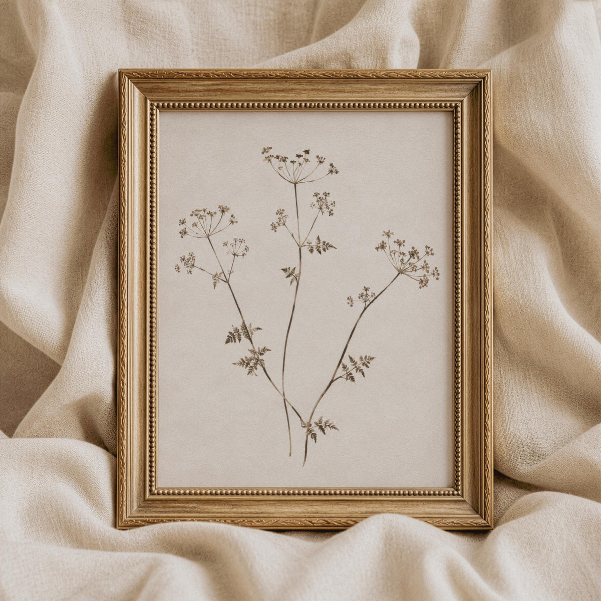 Minimal Botanical Wall Art, Sepia Plant Print, Antique Herbarium, Neutral Wildflower Printable, Vintage Floral Art, Abstract Botanical V131