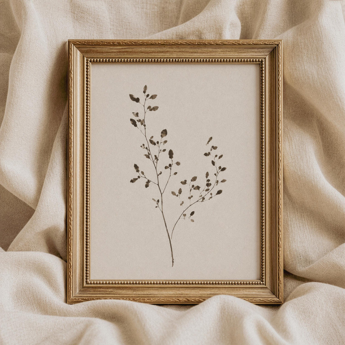Seed pod botanical picture for kitchen — rustic pressed-plant design with understated neutral palette