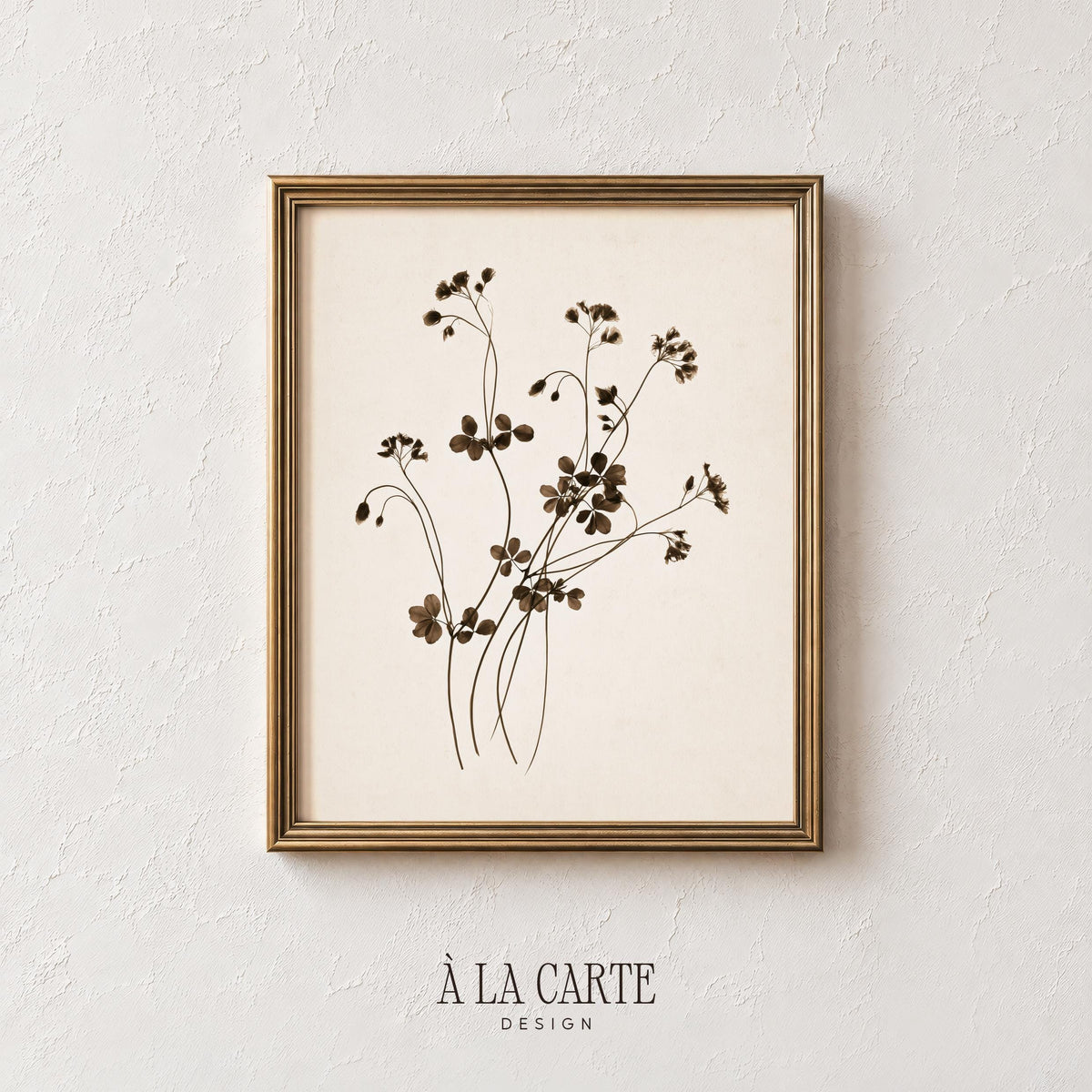 Cottagecore botanical poster featuring slender stems and tiny buds — rustic farmhouse wall decor