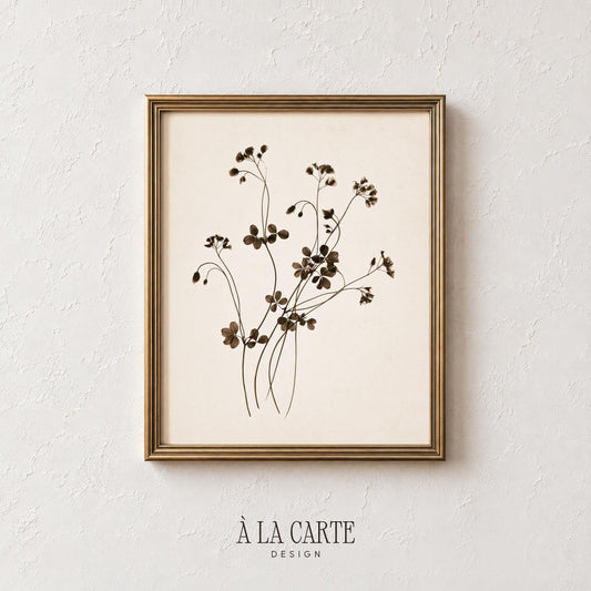 Cottagecore botanical poster featuring slender stems and tiny buds — rustic farmhouse wall decor