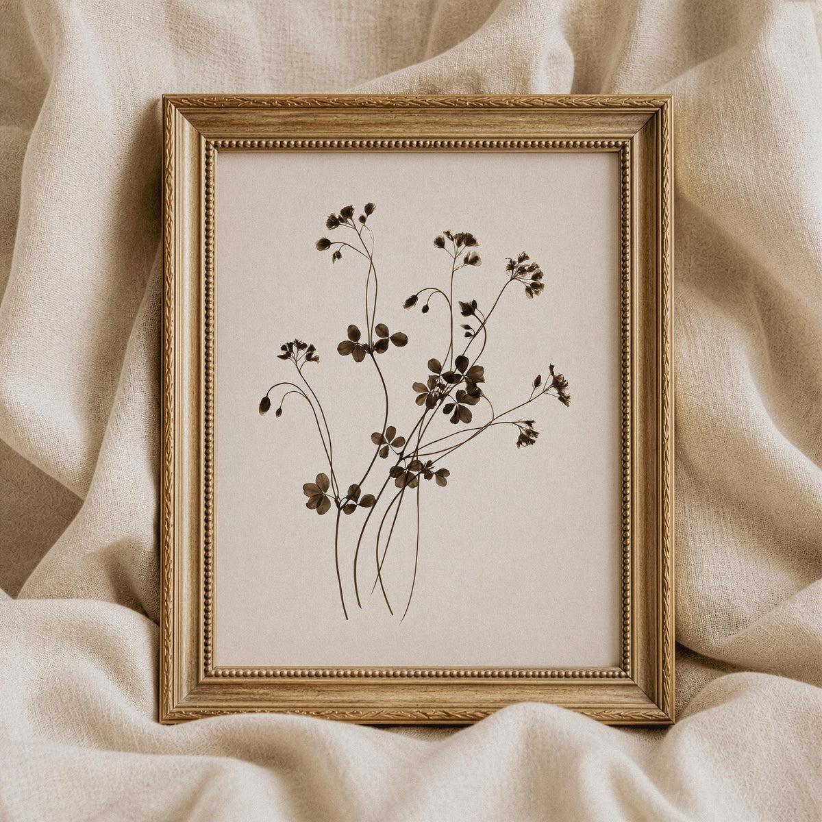 Fine-lined clover flower wall art poster printable — muted tones cottagecore aesthetic for any room