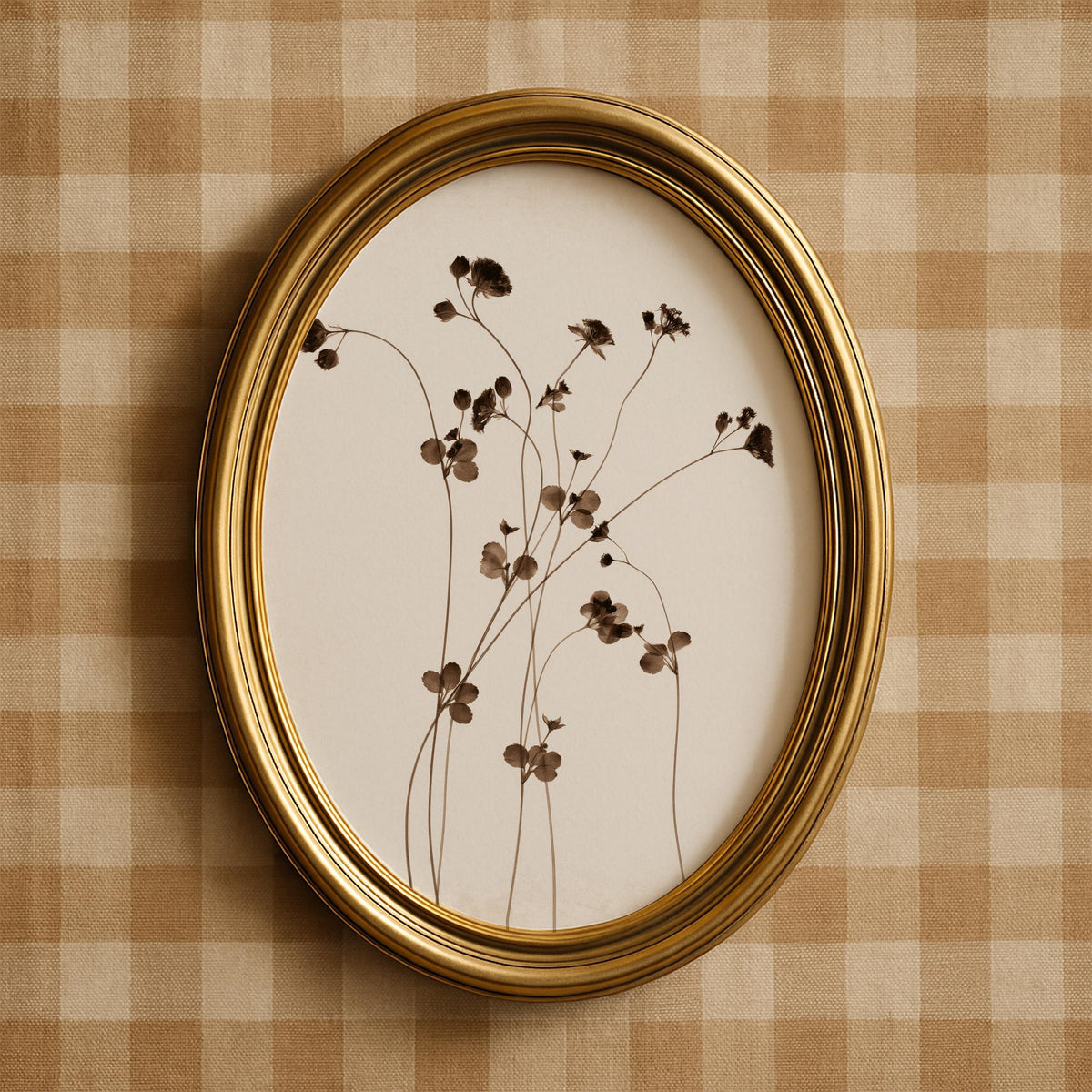 Minimalist seed pod illustration picture for gallery wall — delicate organic stems with aged vintage charm