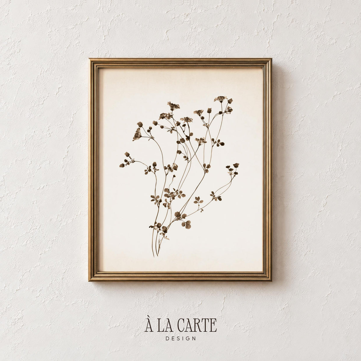Minimalist botanical artwork for farmhouse entryway — pressed-flower herbarium print in warm sepia palette