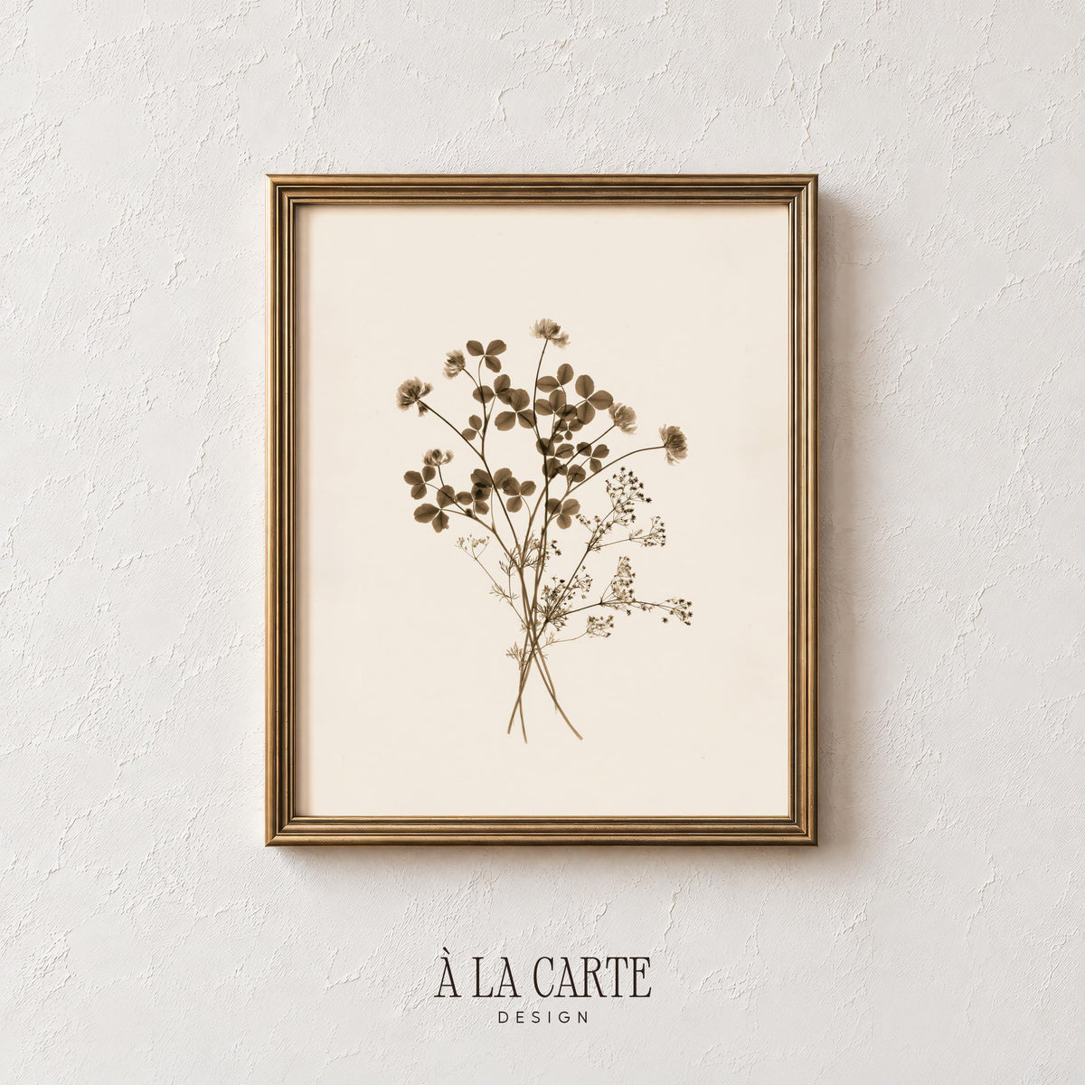 Botanical line drawing printable wall decor — vintage-style pressed-flower study with wispy stems, baby's breath, and farmhouse sensibility