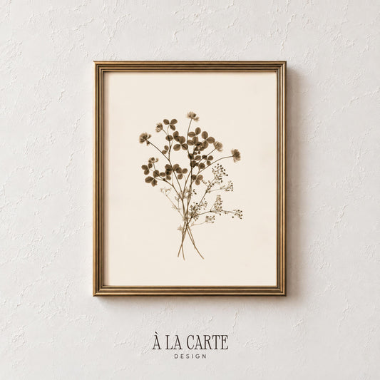 Botanical line drawing printable wall decor — vintage-style pressed-flower study with wispy stems, baby's breath, and farmhouse sensibility
