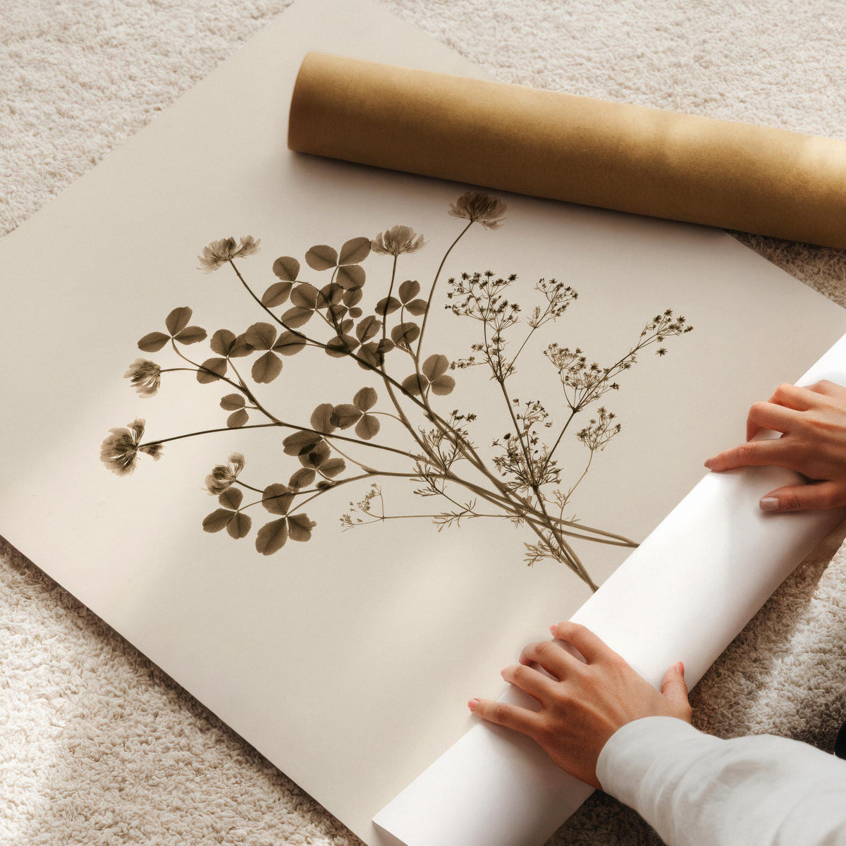 Cottagecore botanical artwork for entryway — simple pressed clover bundle with scattered tiny blooms and soft vintage sepia shading