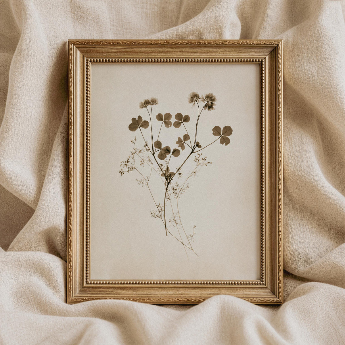 Minimalist wildflower poster featuring delicate stems and rounded leaves — cream background herbarium print