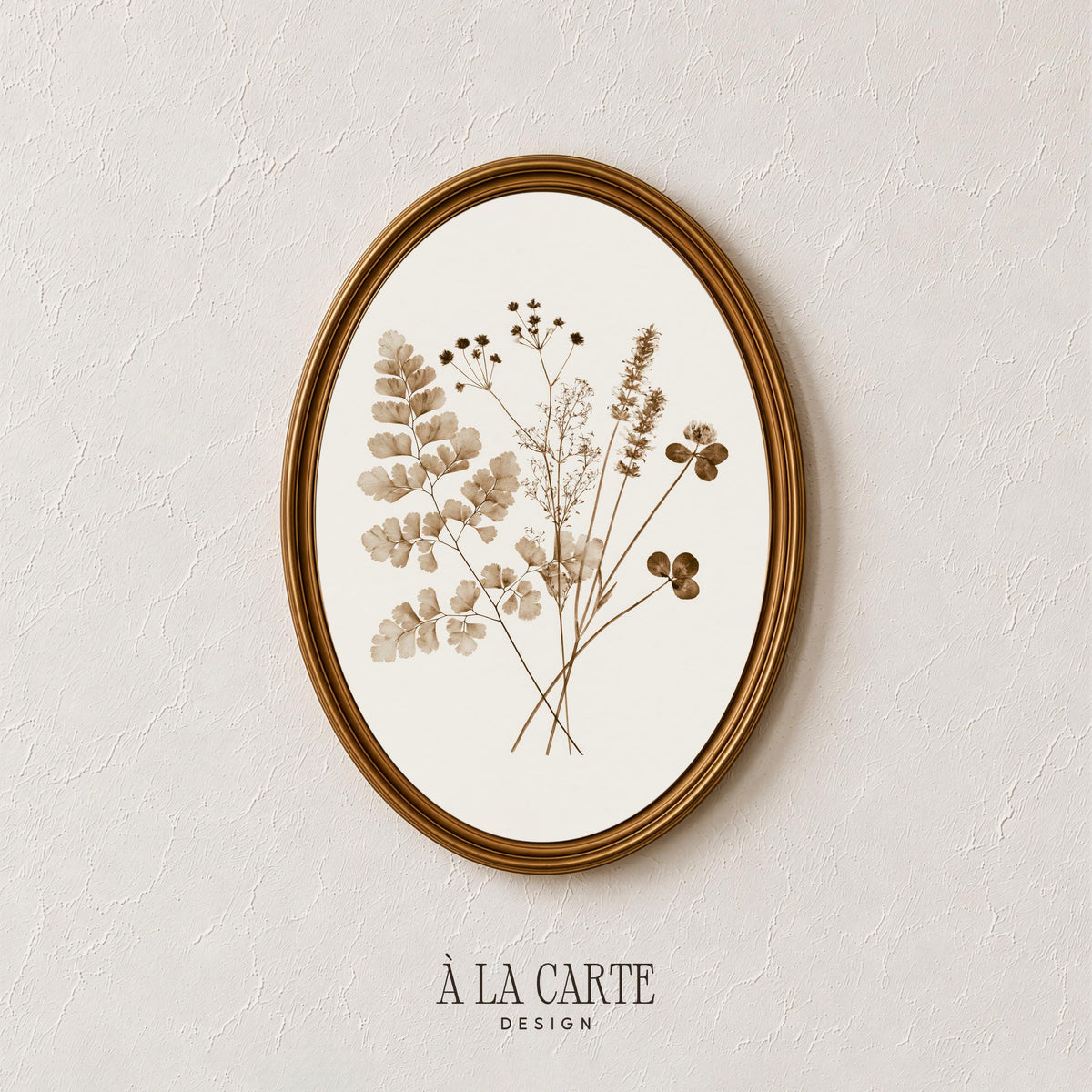 Dried seed pods wall art featuring delicate grasses and naturalist herbarium design on cream background