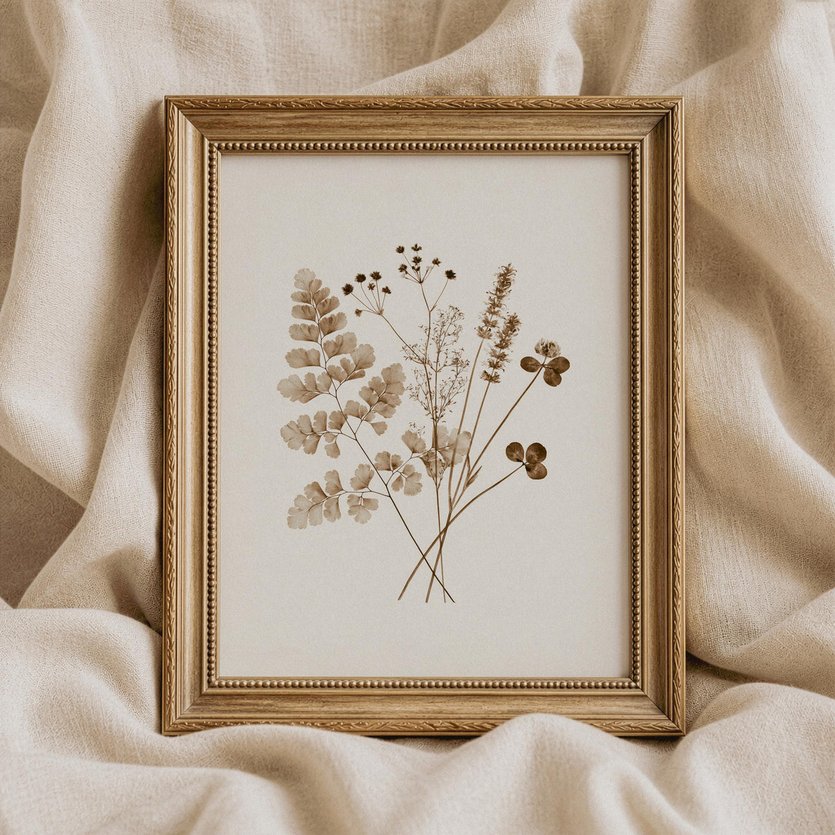 Pressed plant poster with feathery leaves and seed clusters — minimalist botanical wall art design