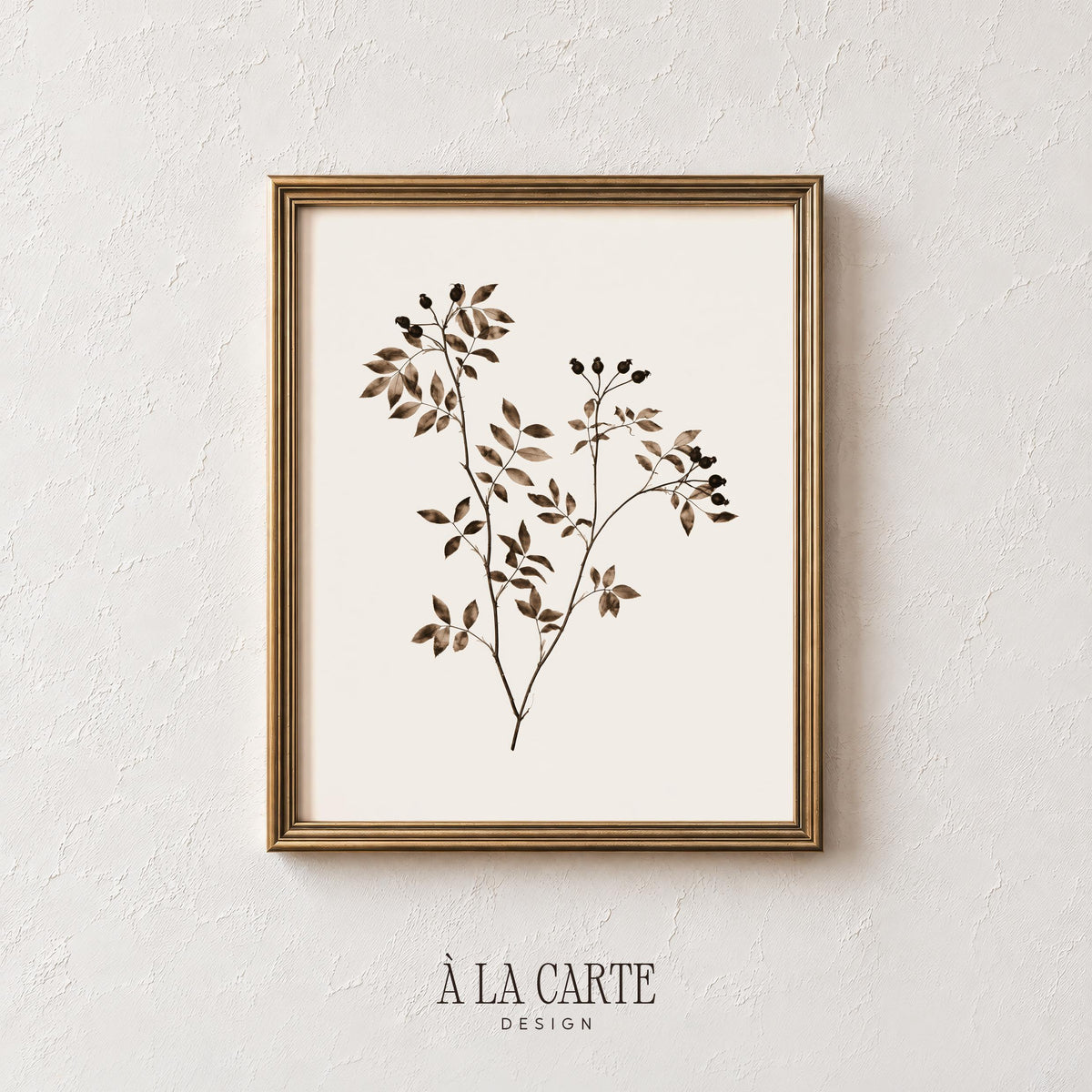 Delicate leafy stems poster for bedroom — vintage herbarium illustration with warm brown watercolor and cream background