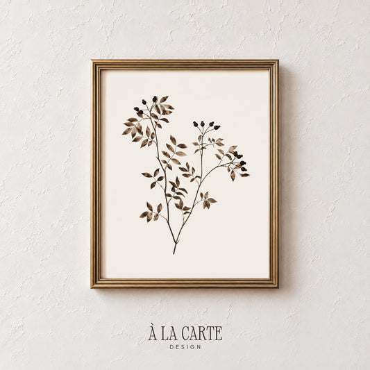 Delicate leafy stems poster for bedroom — vintage herbarium illustration with warm brown watercolor and cream background
