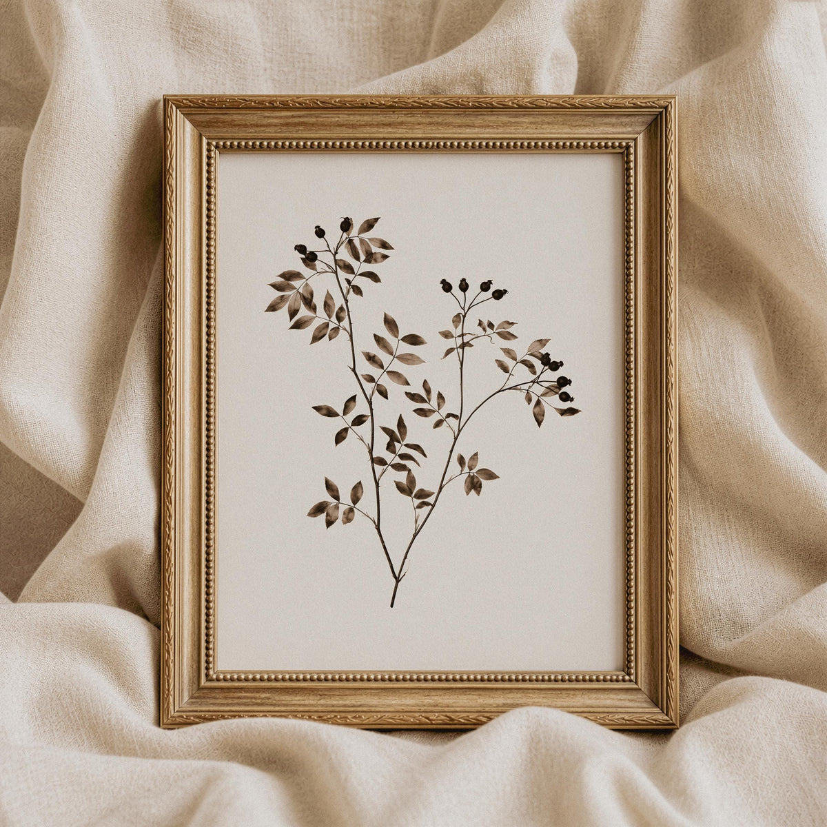 Minimalist plant illustration wall decor for office — scientific-style botanical sketch with delicate leaves and subtle berry accents