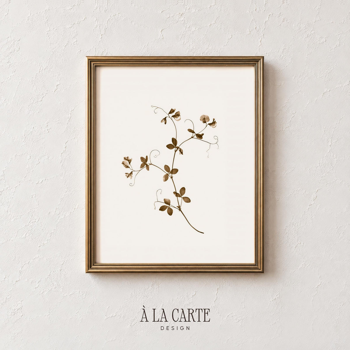 Delicate wildflower climbing plant poster for home — neutral botanical illustration with dainty flowers and vintage pressed-flower illustration charm