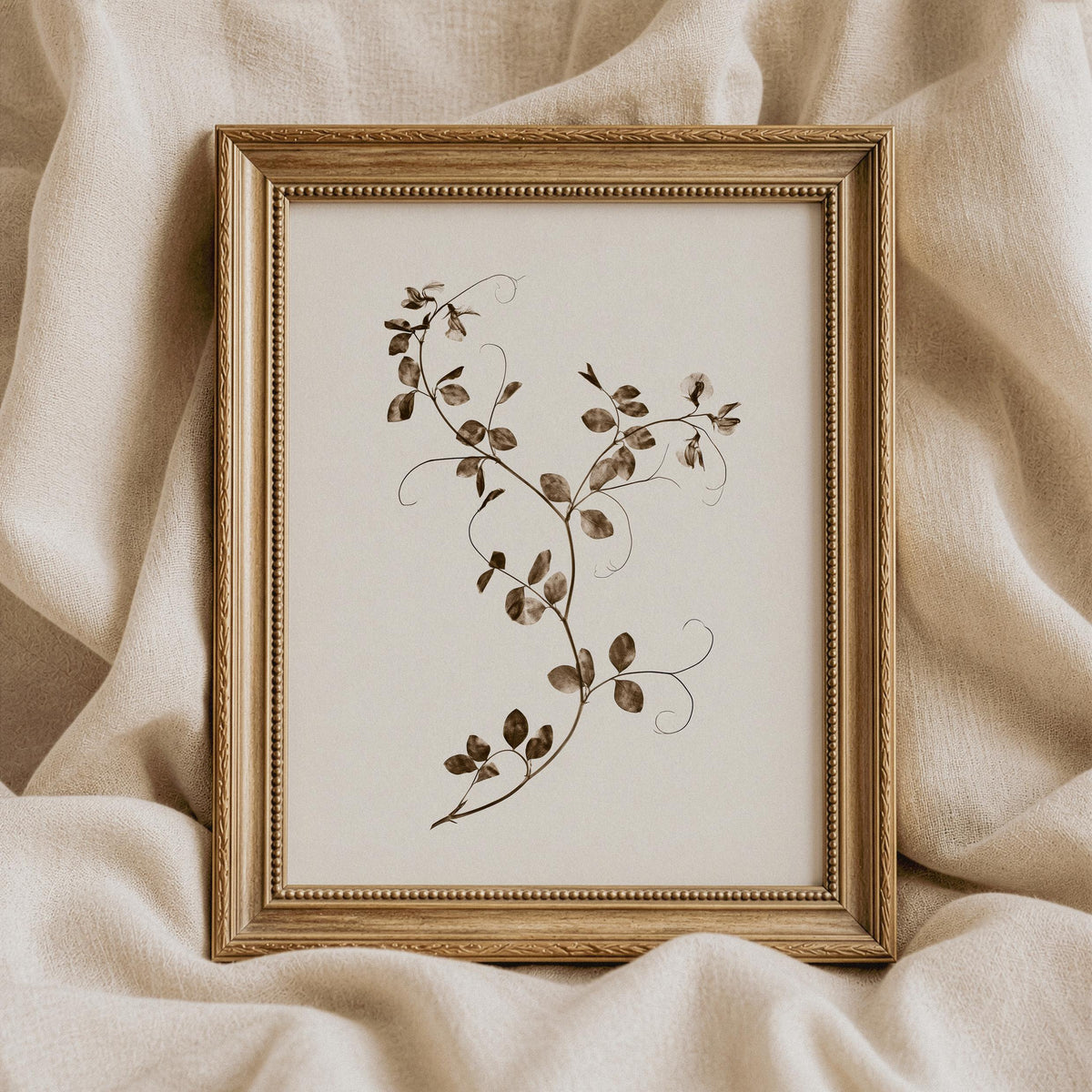 Sepia botanical printable featuring curling stems — minimalist plant illustration for calm, neutral home spaces