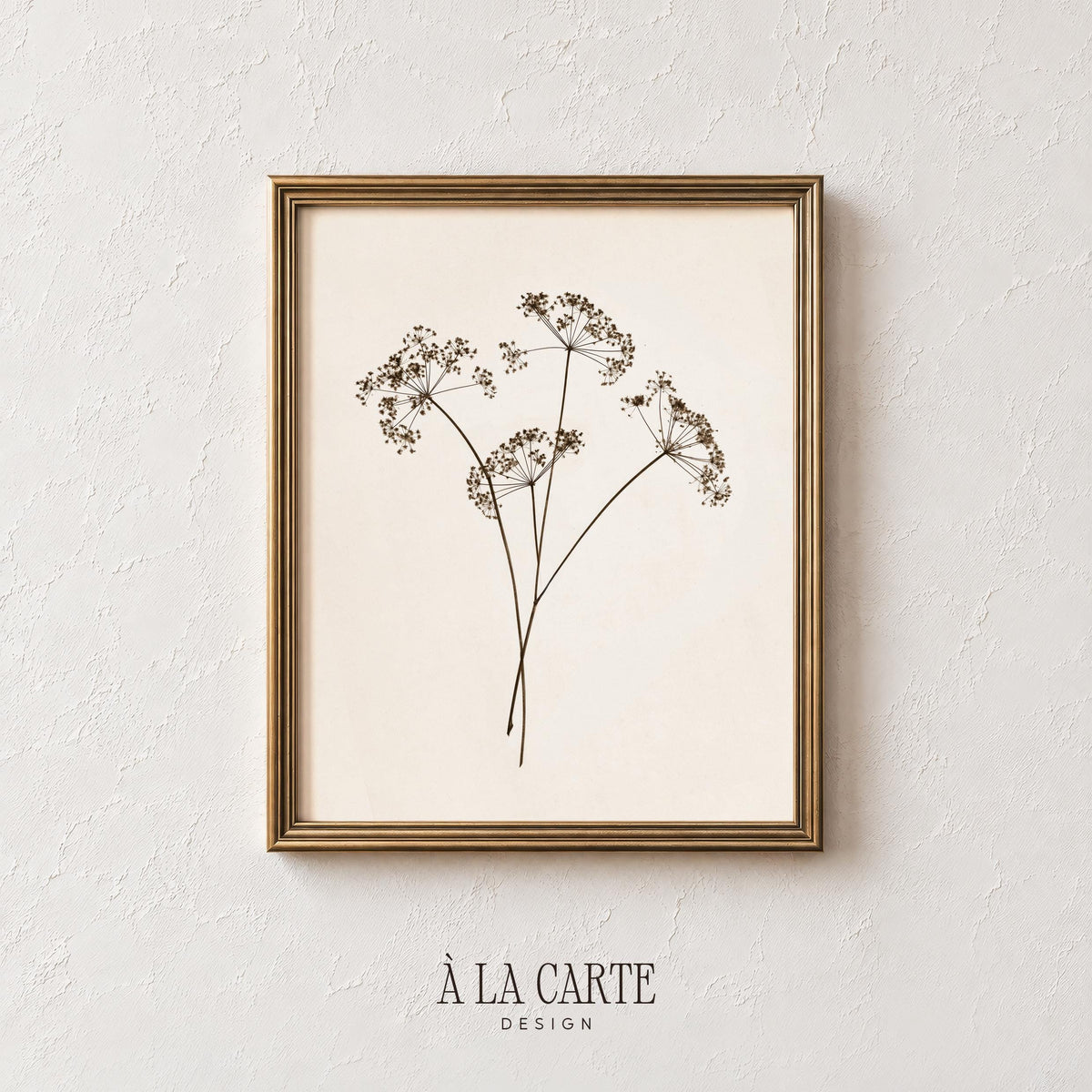 Pressed flower wall art featuring dried umbel stems — minimalist fine line drawing on cream background with calming aesthetic