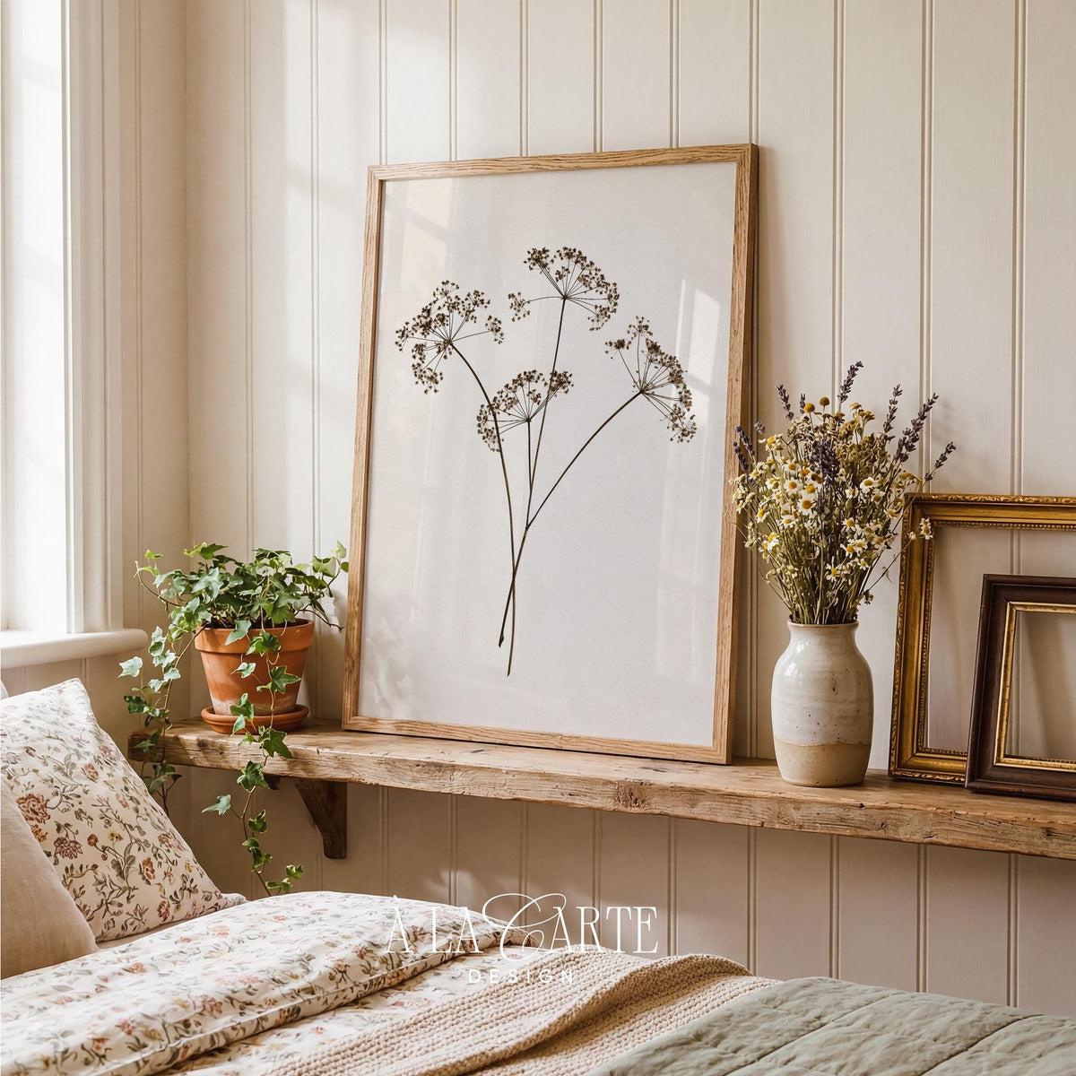 Vintage botanical artwork for living space — detailed stem rendering with delicate umbel clusters and understated elegance