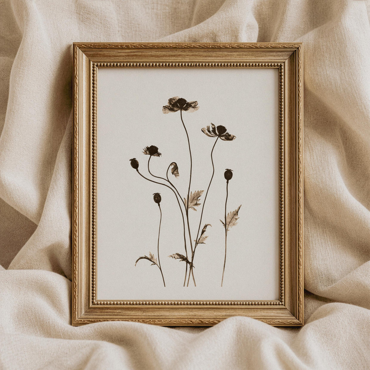 Vintage botanical print — abstract stem and seedpod illustration featuring organic texture and rustic understated beauty
