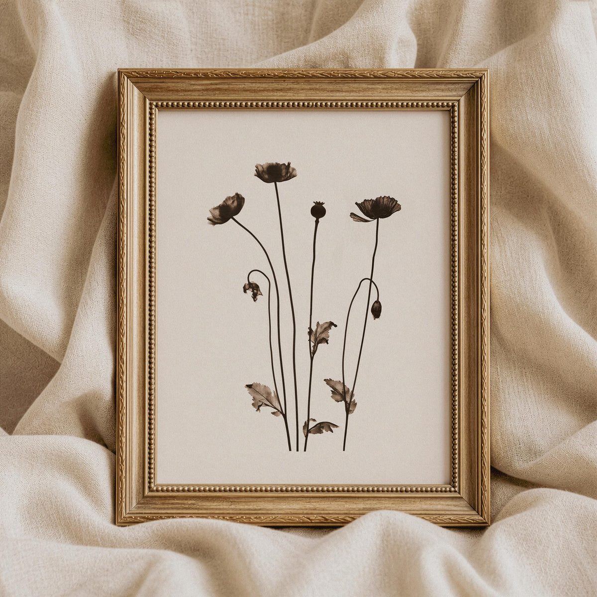 Pressed flower artwork digital print for entryway — fine-line botanical rendering with soft neutral tones and elegant stem details