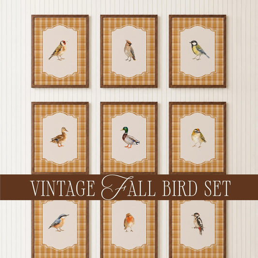 Vintage Fall Bird Wall Art Set of 15, Cottagecore Plaid Prints, Woodland Bird Illustrations Collection, French Country Decor Bundle B3