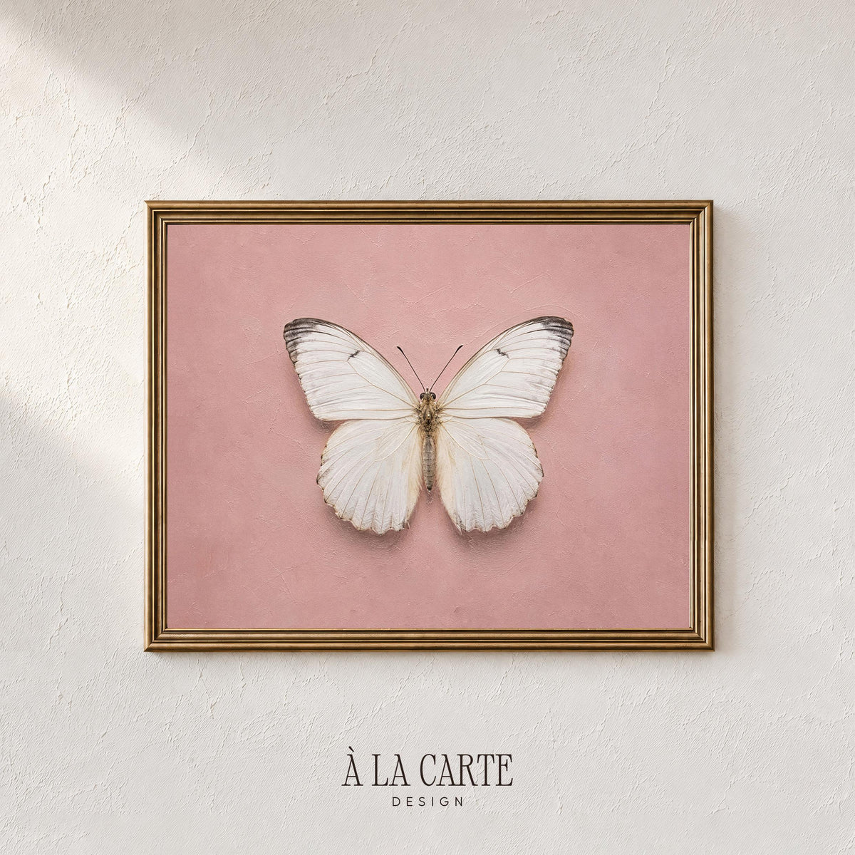 Delicate winged creature print for entryway — vintage natural history study with soft elegance