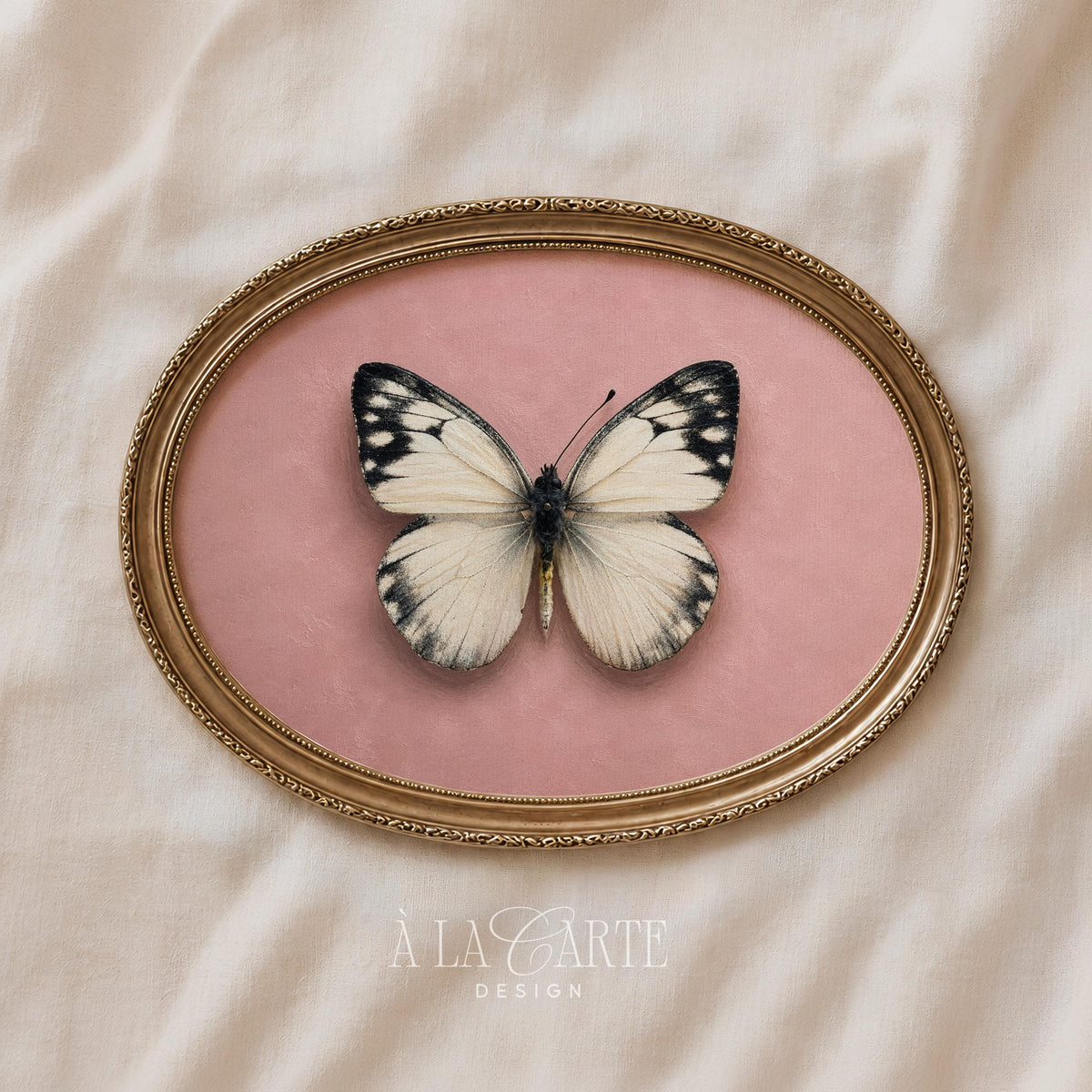 Delicate butterfly wall art print in romantic cottagecore style — realistic monochromatic illustration on soft backdrop