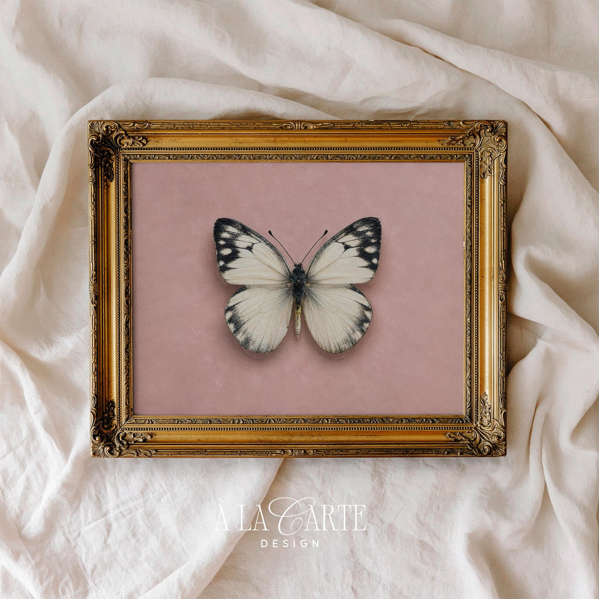 Black and white butterfly illustration poster — soft cottagecore aesthetic with blush pink backdrop for girls' room wall