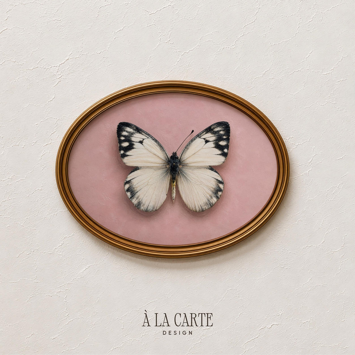Detailed moth-inspired wall print with romantic vintage appeal — perfect printable art for nature-lover's bedroom