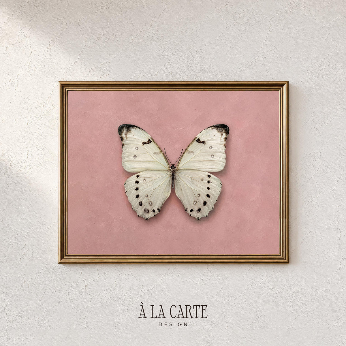 Botanical butterfly picture for gallery wall — romantic vintage specimen with muted dusty rose tones